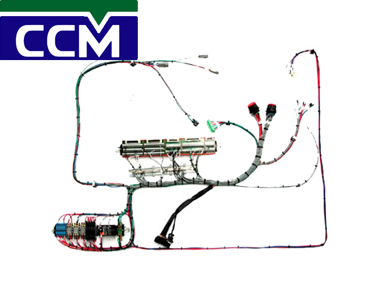 CCM Ensamble y manufactura, S.A. DE C.V.