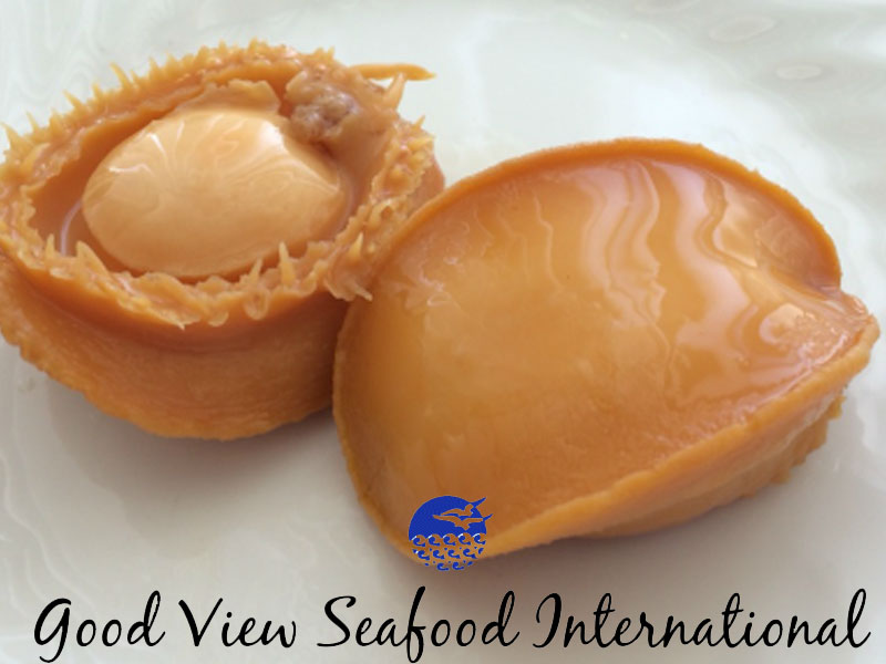 Good View Seafood Internacional, S. A. DE C. V.
