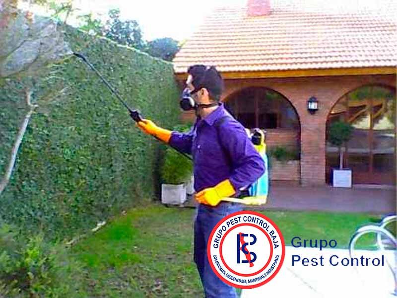 Pest Control Baja, S. A. DE C. V.