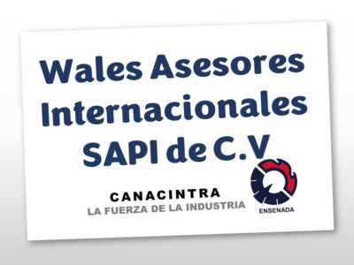 Wales Asesores Internacionales SAPI de C.V
