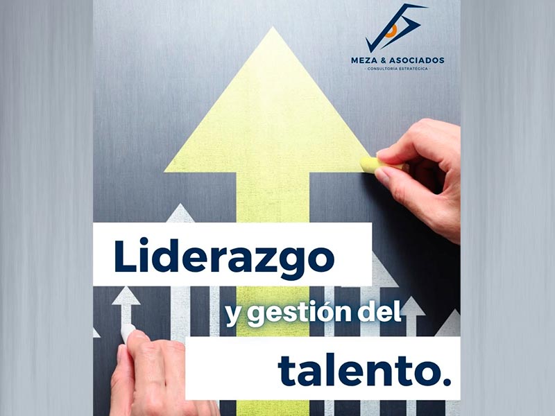 Meza & Asociados